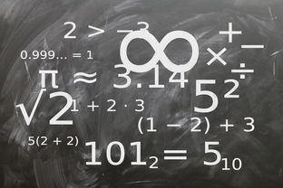 中小学体育课程教学内容优化研究，中小学体育教学内容的衔接研究